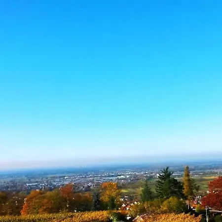 Appartement Schwarzwaldaussicht In Bühl