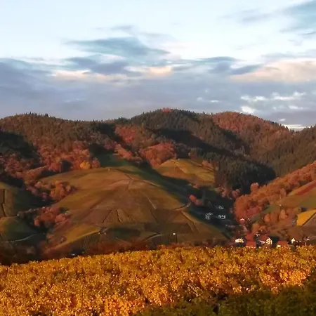 Schwarzwaldaussicht In Appartement Bühl